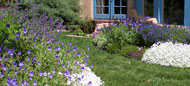 Contact us forsuperior landscaping, waterscape and garden design in the Vail Valley